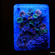Image for article titled This Xbox 360 Sleeps with the Fishes. No, Really.